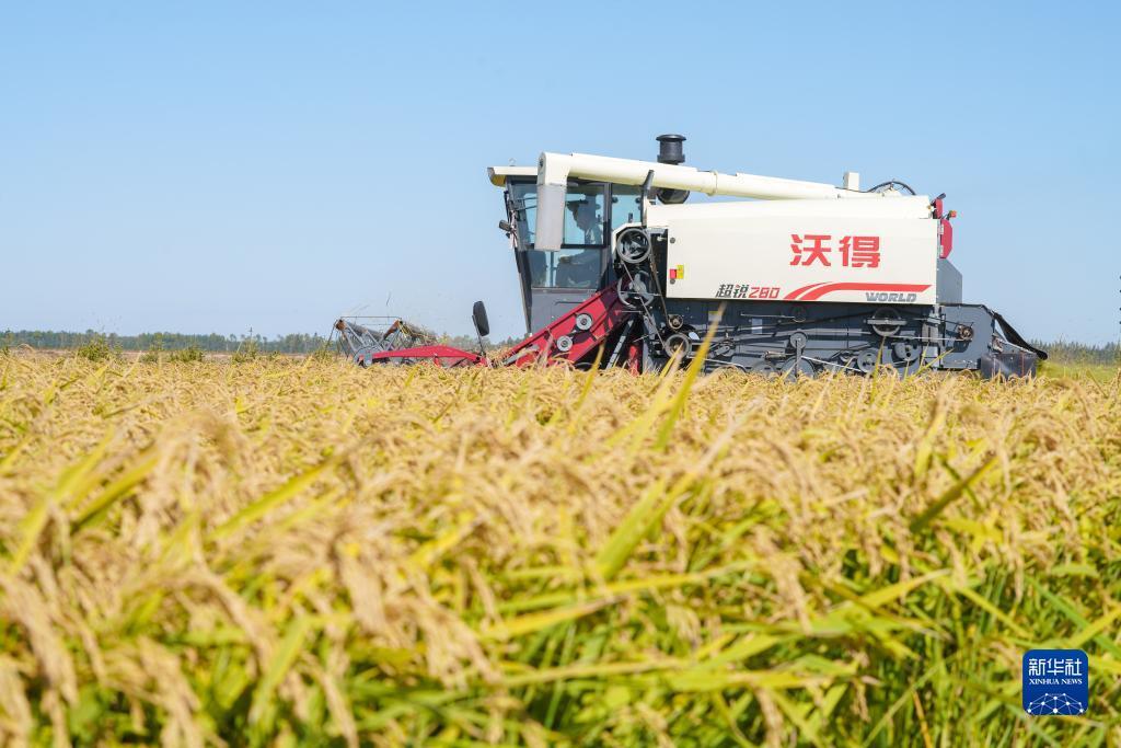 苹果手机怎么下载玛丽水果机?